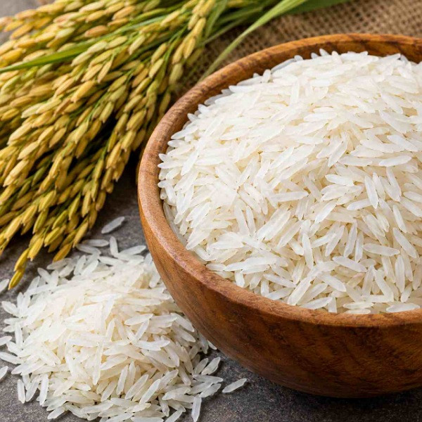 دانه های برنج هاشمی کشت اول